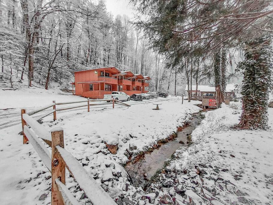 Mountain Cabin In Woods 3 Minutes To Helen #13 Exterior foto